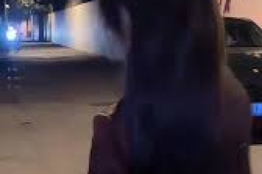 全部导航